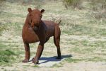 PICTURES/Borrego Springs Sculptures - Bugs, Cats & Birds/t_P1000368.JPG